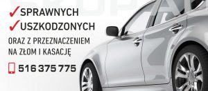 Kupno aut dostawczych w Białołęce